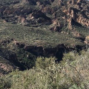 Meet your Posher, Holly